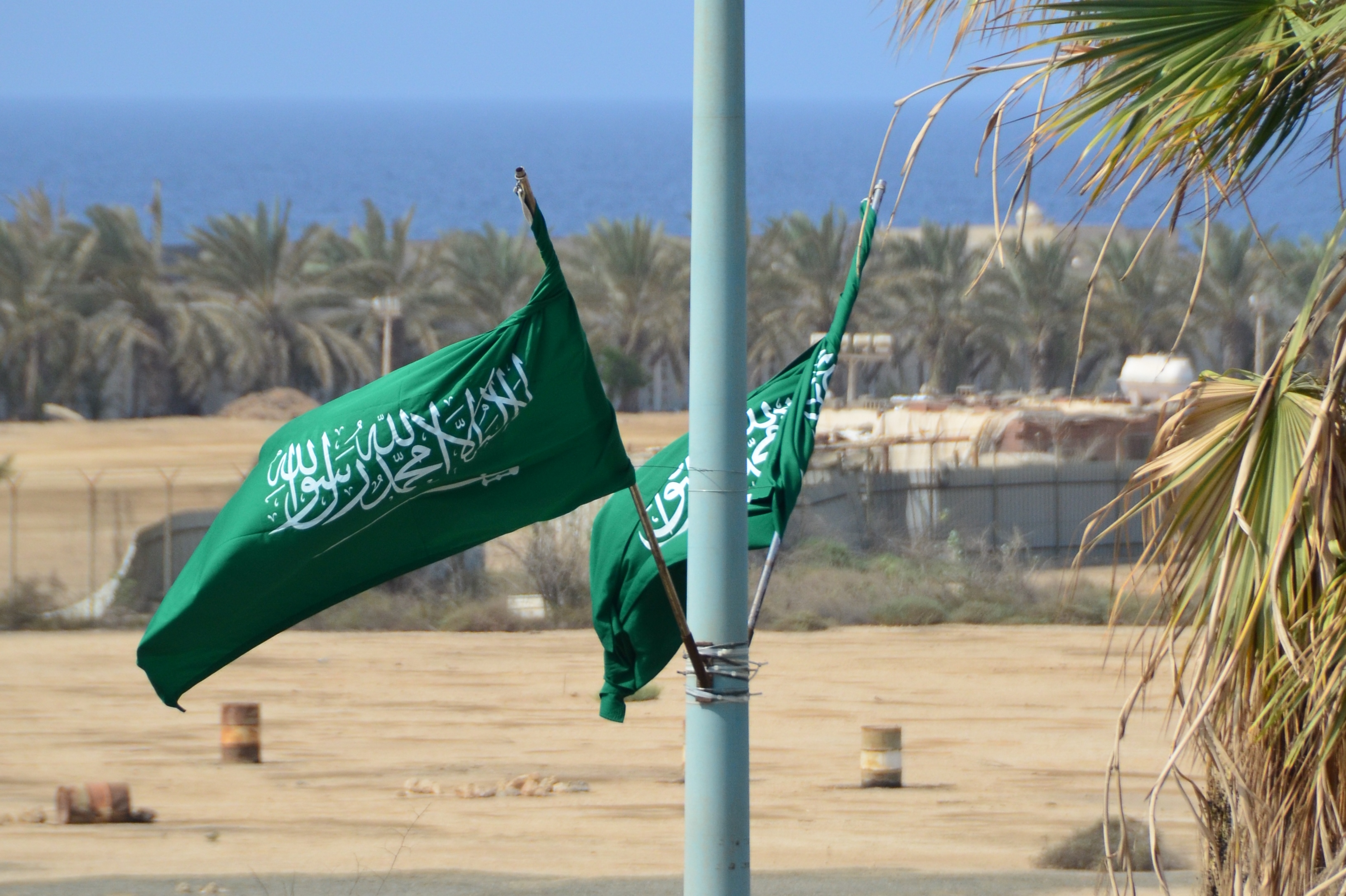 Саудия флаг